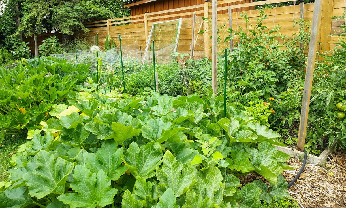 Three Years In and I'm Starting to Get It